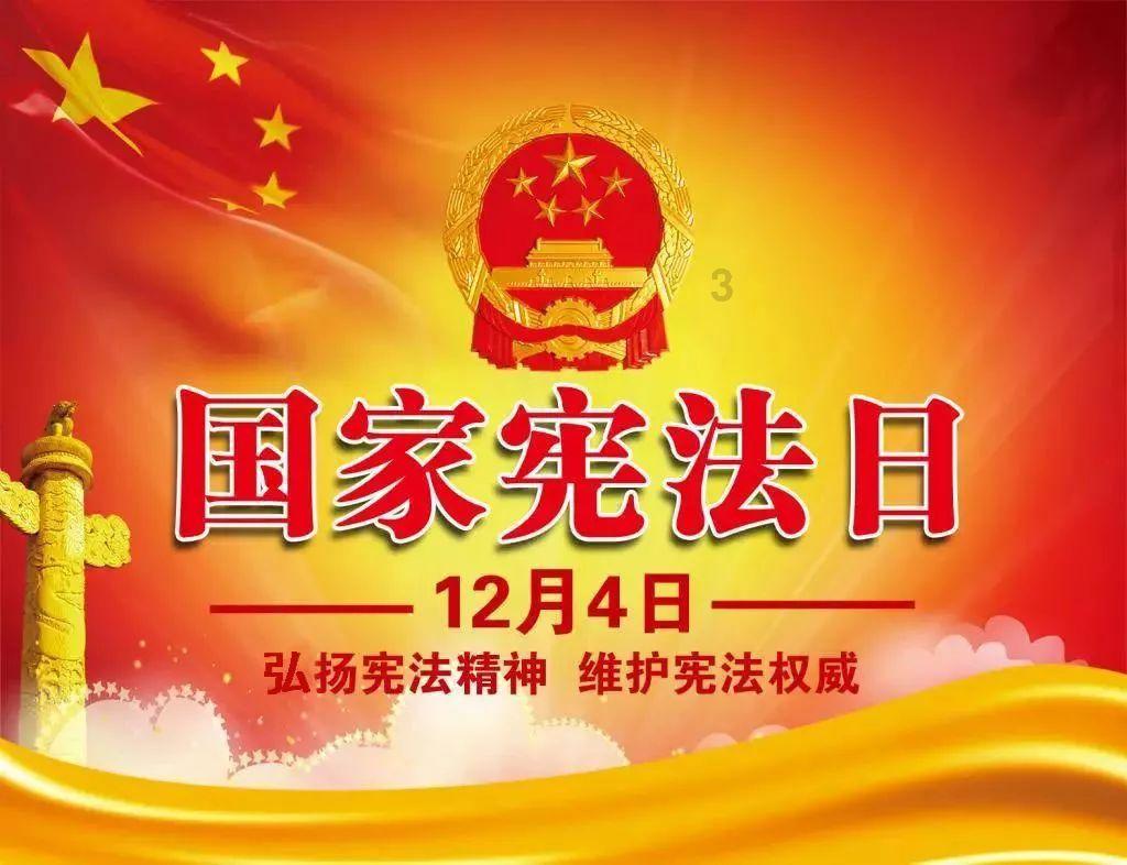 十大适合家养的狗不掉毛问答网-专注于解决您的问题